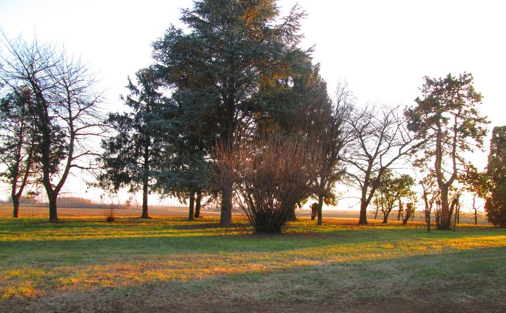 La Centuria Societa Agricola Casa Vacanze Terzo d' Aquileia Buitenkant foto