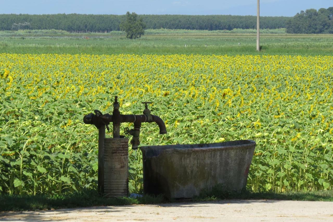 La Centuria Societa Agricola Casa Vacanze Terzo d' Aquileia Buitenkant foto