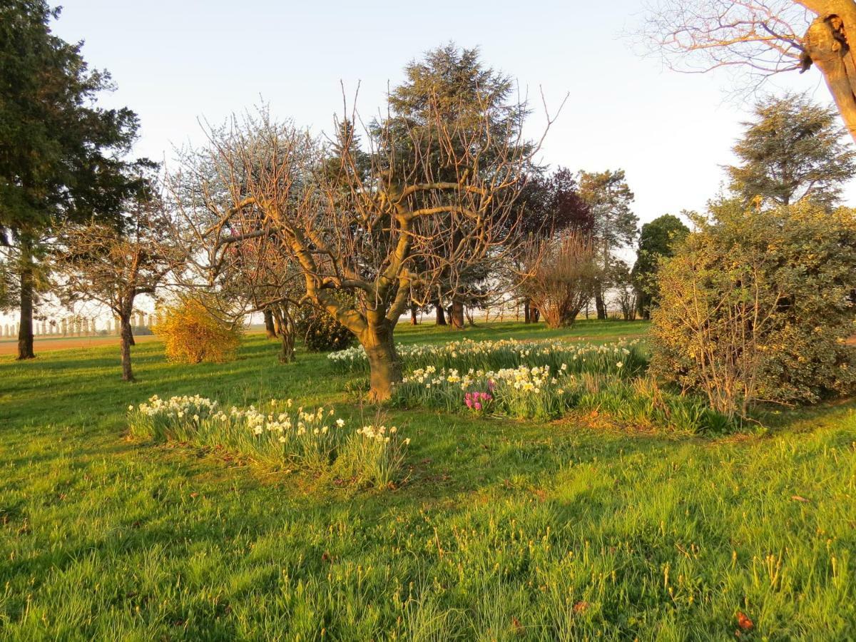 La Centuria Societa Agricola Casa Vacanze Terzo d' Aquileia Buitenkant foto