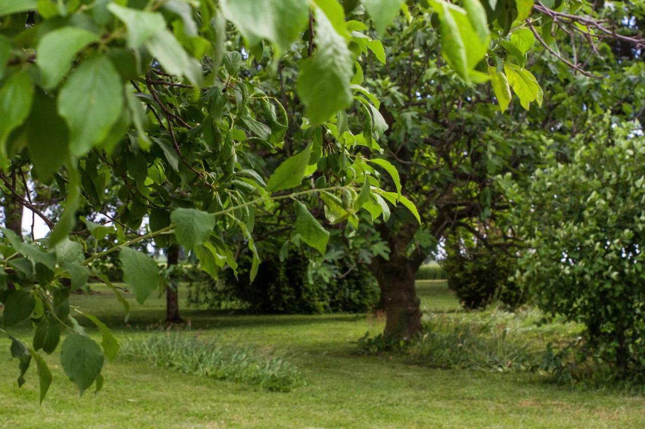 La Centuria Societa Agricola Casa Vacanze Terzo d' Aquileia Buitenkant foto